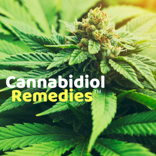 CBD Drops (Nano Amplified) 2018 Top Rated CBD Business Opportunity Prelaunch