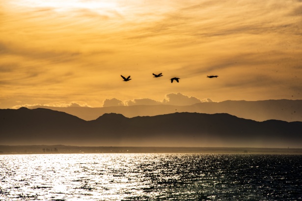 The Salton Sea Chargers of San Diego